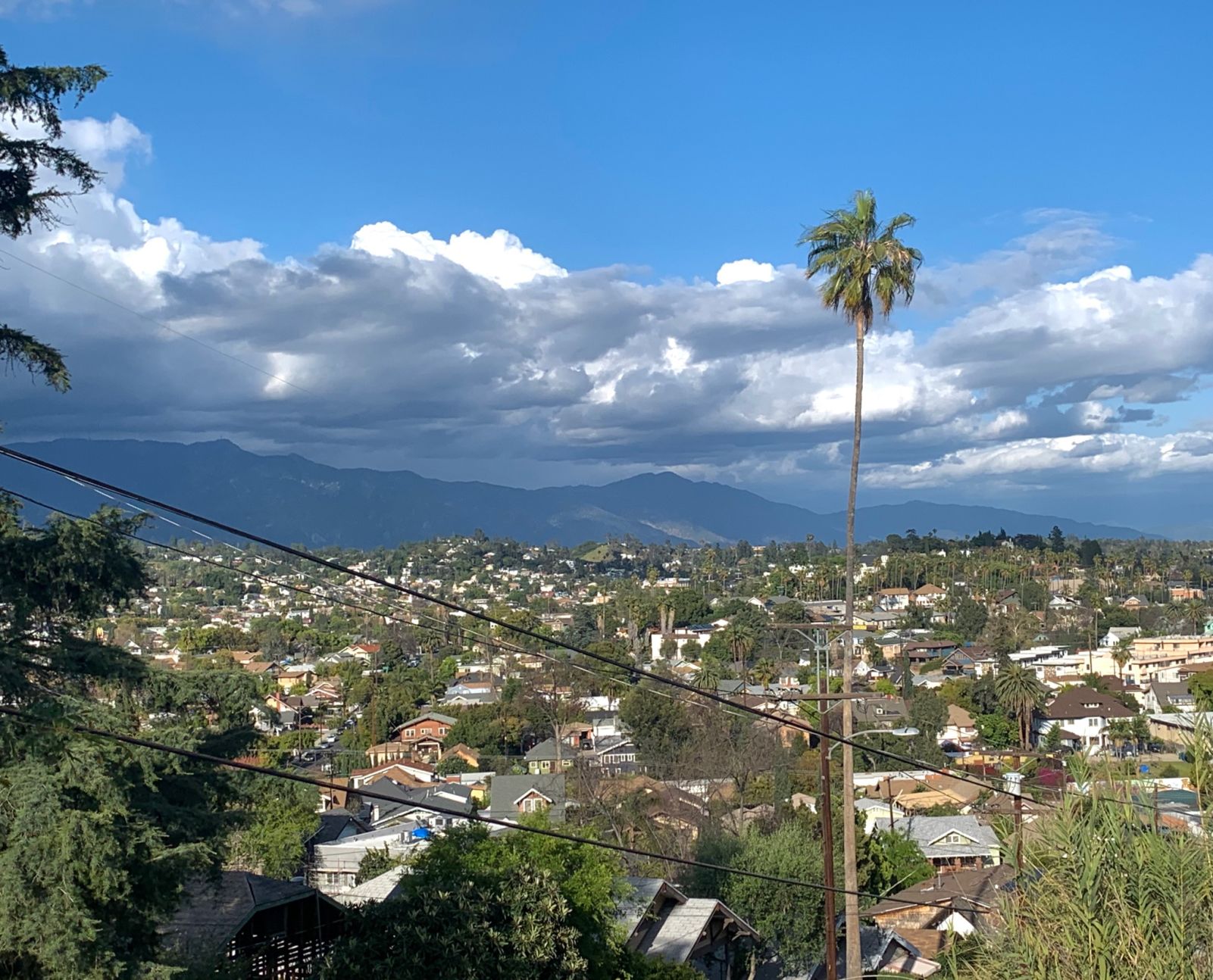 Sweeping view from highland Park